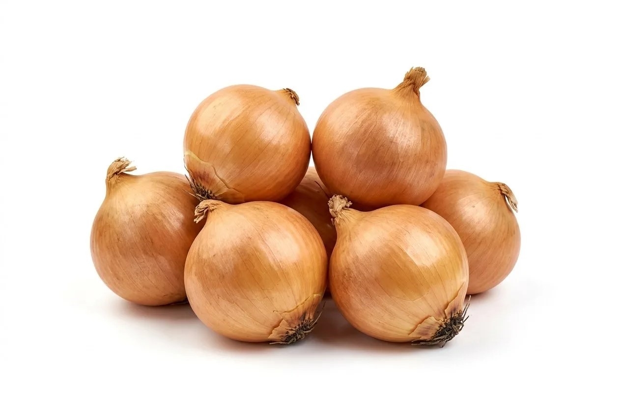 Лук репчатый