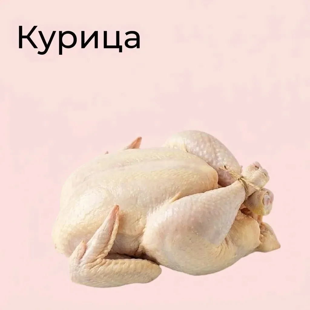 Курица